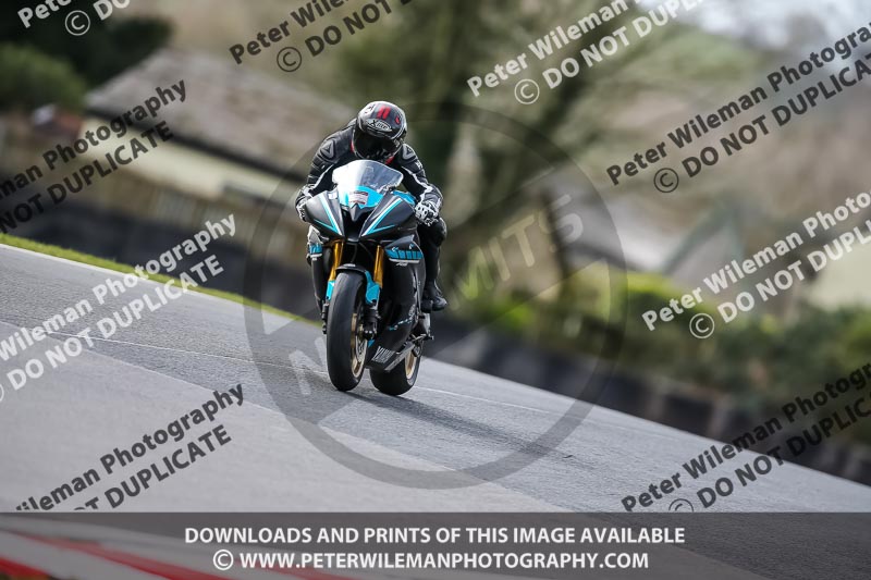 Oulton Park 21st March 2020;PJ Motorsport Photography 2020;anglesey;brands hatch;cadwell park;croft;donington park;enduro digital images;event digital images;eventdigitalimages;mallory;no limits;oulton park;peter wileman photography;racing digital images;silverstone;snetterton;trackday digital images;trackday photos;vmcc banbury run;welsh 2 day enduro